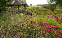 Jardin Millenium de Piet Oudolf avec Echinacea 'Rubinglow', Verbena bonariensis, Helenium 'Rubinzwerg' et Phlox paniculata dans le Parc Naturel de Pensthorpe