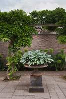 Urne classique en fonte avec Hosta 'Halcyon' devant Euphorbias et pergola en bois - Hollande
