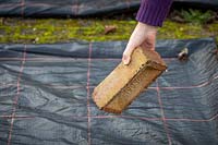 Couvrir une bordure végétale avec du plastique afin de supprimer les mauvaises herbes et réchauffer le sol. Peser la membrane avec une brique.