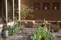 Mur en épi et argile plâtré avec étagères et coin salon - petit patio - parterre de fleurs planté d'herbes, chou frisé - vase en verre avec du persil de vache. Une maison de studio d'artiste - Espaces de vie verts. RHS Malvern Spring Festival Mai 2019 - Conception: Jessica Makins