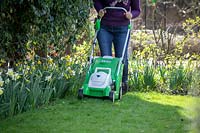 Première tonte de la pelouse au début du printemps à l'aide d'une tondeuse à batterie rechargeable