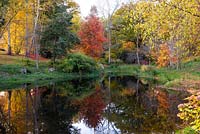 Vue d'automne sur l'étang ornemental à East Bergholt Place.