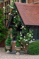 Le porche de la maison victorienne tardive, une vieille rose jaune grimpant à l'avant.