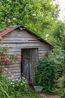 Remise de jardinier rustique en bois avec Rosa - Rose grimpante