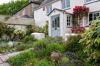 Vue sur parterre planté de cottage avec Rosa - Rose grimpante - sur le mur