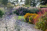 Parterres de fleurs vivaces avec: Persicaria amplexucaulis 'Firedance', Rudbeckia 'Goldsturm', Deschampsia 'Bronze Veil' et Verbena bonariensis