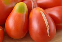 Solanum lycopersicum 'Red Pear' Tomates cerises prunes. Variété héritage. Fruits cueillis qui se sont fendus ou fêlés ou qui ont une maturation inégale. Greenback Syn. Lycopersicon esculentum.