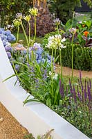 Mur blanc rendu au bord d'un jardin avec parterres de fleurs et plantes mixtes, notamment Agapanthe, Salvia et Hydrangea. Le rêve des Indianos, Hampton Court Flower Show, 2019.