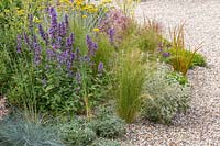 Stipa tenuissima et Nepeta dans un jardin de gravier avec d'autres plantes résistantes à la sécheresse. Beth Chatto: Le jardin résistant à la sécheresse, Festival des fleurs de Hampton Court, 2019.