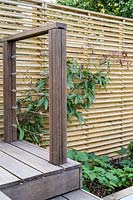 Terrasse en bois surélevée avec fil de tension en acier inoxydable et système de rails, dans un petit jardin londonien moderne par Earth Designs.