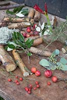 Matériaux pour créer un arrangement rustique avec des bâtons de bouleau, des baies, des feuilles d'eucalyptus et de pin et des cônes