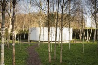 Le jardin de réflexion au Bishop's Palace, Wells en mars avec une poustinia dans un bosquet de bouleaux.