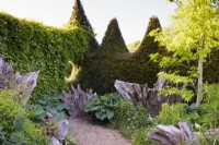 Chemin à travers le Stumpery à Arundel Castle Gardens, West Sussex en mai, délimité d'un côté par une haie d'ifs spikey. Les souches sont entourées de plantations luxuriantes comprenant des euphorbes et des hostas. Les Liquidambars donnent de la hauteur.