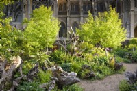 La Stumpery au château d'Arundel en mai, où les souches d'arbres sculpturales sont entourées de plantations luxuriantes comprenant des fougères, des alliums, des hostas, des euphorbes et des liquidambars.