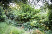 Les chemins mènent dans des zones plus sauvages et plus naturalistes au-delà des fougères et des géraniums rustiques dans un jardin en juin