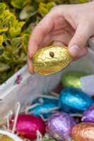 Enfant recueillant l'oeuf de chocolat d'or avec la coccinelle dans le panier à Pâques
