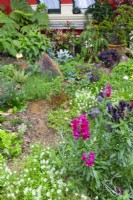 Parterre de plantes à fleurs et feuillages colorés montrant le paillis de paille