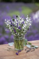 Omphalodes linifolia Little Snow White'', Echinops ritro, Lavender augustifolia 'Hidcote' disposés dans un vase en verre