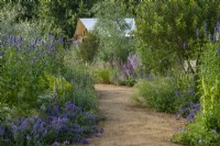 Jardin emblématique des héros horticoles. Une prairie vivace résistante au climat. Festival des fleurs de Hampton Court 2021. Un chemin mène à travers des parterres de fleurs de style prairie d'agastache, de menthe à chat, de sauges et d'herbes.