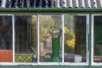 Vue des pots de jonquilles vus à travers les fenêtres de l'abri de rempotage