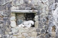 Crânes d'animaux dans une alcôve dans un mur de pierre
