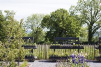 Mise en scène avec des plantes à Blooming Wild Nursery à Somerset en juin
