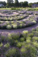 Parterres concentriques de lavande autour d'un étang de trempage carré à Gordon Castle Walled Garden, en Écosse en juillet. Conception par Arne Maynard.