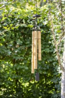 Carillon à vent en bambou suspendu à un bouleau