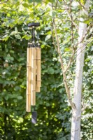 Carillon à vent en bambou suspendu à un bouleau