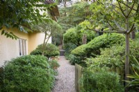 Porte de jardin encadrée de conifères menant à un jardin de plantes en grande partie vertes, y compris des arbustes et des arbres taillés à Dip-on-the-Hill, Ousden, Suffolk en août