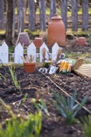 Ligne de jardin et sachets de graines de carottes, prêtes à semer dans un parterre de fleurs.