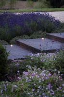 Jardin contemporain au crépuscule avec des lumières incrustées dans les marches des pavés en briques de Lucca entourés de plantations violettes et roses de lavande, de sauges et de géraniums en juillet