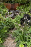Le jardin biologique de la vallée de Yeo, avec Athyrium filix-femina - fougères et Persicaria amplexicaulis 'Blackfield' bordant le chemin menant à la chute d'eau caractéristique.