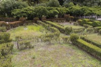 Le Box Parterre - Jardim de Buxo. Haies basses et boules de buis en mauvais état avec quelques plantes mortes ou mourantes. Seixal, près de Setubal, Portugal. septembre