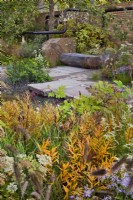 Parterres d'automne mixtes et vue sur l'assise en bois. Les plantes sont Aster cordifolius, Iris sibirica seedheads, Pennisetum alopecuroides 'Cassian's Choice', Amsonia illustrius et Artemisia lactiflora.
