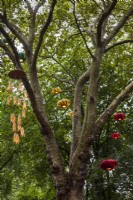Des lanternes en bois accrochées aux arbres. Conçu et produit par Alex MacMaster.