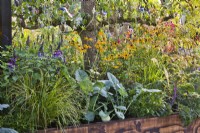 Parterre surélevé planté de légumes, vivaces, graminées et fines herbes. Il Persley Box Garden au Chelsea Flower Show 2021