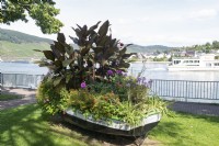 Caractéristique de jardin - bateau orné d'entre autres plantes canna le long du quai de Boppard, Allemagne