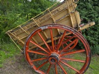 Vieux chariot de ferme de cheval dans le jardin sauvage - Norfolk