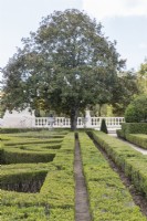 Haies de buis taillés dans le Pensil Garden. Queluz, Lisbonne, Portugal, septembre.