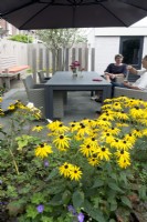 Les femmes étaient assises près d'une table moderne dans un petit jardin urbain avec Rudbeckia en premier plan.