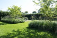 Parterres centraux avec graminées, Verveine et arbres au milieu de la pelouse.