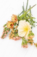 Eschscholzia californica 'Peach Sorbet', Calendula 'Sherbet Fizz', Limonium 'Apricot Beauty' en petit bouquet disposé sur une surface pâle
