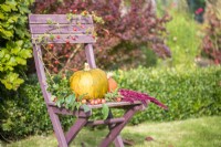 Citrouille, courge, pommes sauvages, églantier et fleurs d'amarante sur une chaise en bois