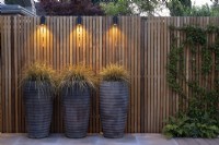 Carex 'Everest' dans de grands pots illuminés par un éclairage de jardin sur une clôture à lattes