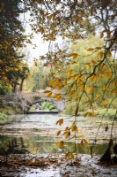 Les feuilles d'automne qui pèsent sur la rivière à Minterne Gardens dans le Dorset en novembre