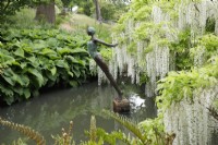 Vue de la sculpture 'Plonger dans l'océan de la vie' de Dawn Conn installée dans un étang par Wisteria floribunda 'Alba' au RHS Wisley.