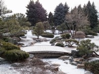 Jardin japonais en hiver montrant pont sur ruisseau gelé. Rochers et conifères sculpturaux dans le paysage