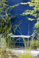 Petit étang et banc contemporain en métal dans une petite cour-jardin avec murs peints en bleu, RHS Chelsea Flower Show 2021, IBC Pocket Forest