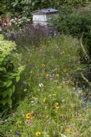 La plantation de prairies en parterre de fleurs, ruche derrière